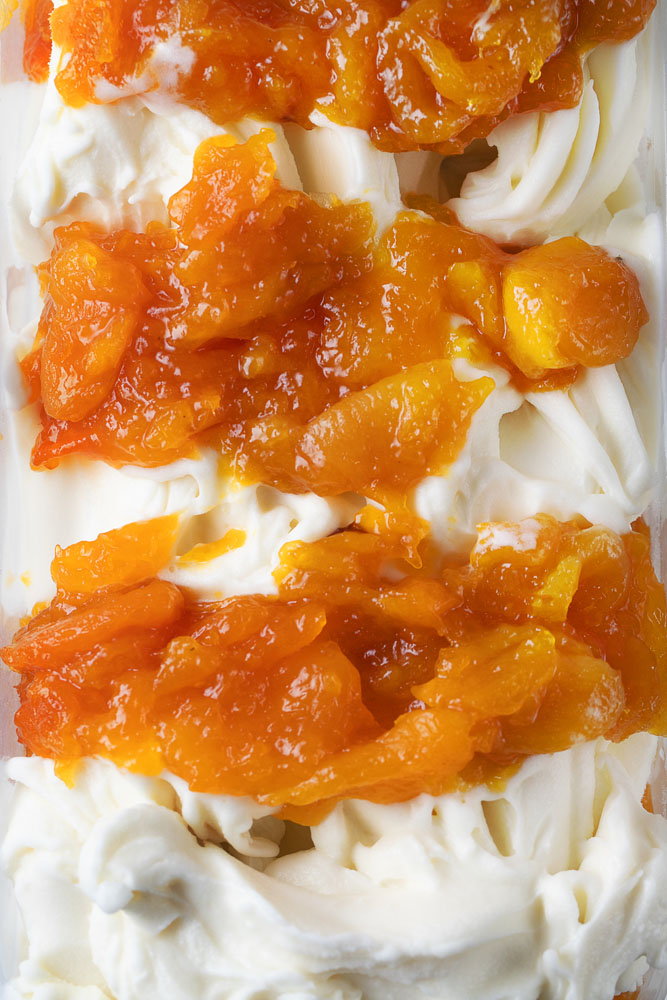 IOGURTE COM DAMASCO FS